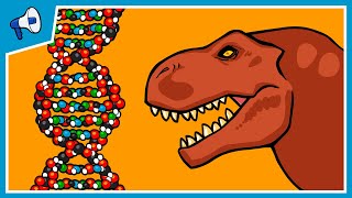 What is DNA and How Does it Work [upl. by Wickman]