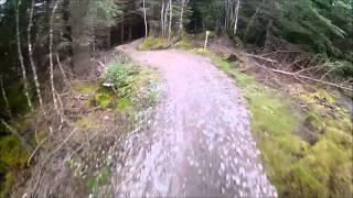 Nevis Range Blue Trail Downhill Section [upl. by Naanac303]