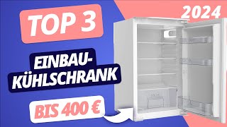 Der BESTE EINBAUKÜHLSCHRANK 2024 bis 400 Euro  TOP 3 Modelle im VERGLEICH [upl. by Nonnaer]