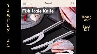 FISH SCALE KNIFE REMOVER [upl. by Rossie]