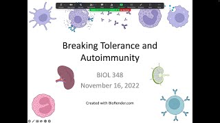 Immunology Fall 2022 Lecture 31 Breaking Tolerance [upl. by Atalayah887]