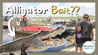 Gliding Through Everglades National Park  Coopertown Airboat Rides  Miami Florida [upl. by Lamrouex348]