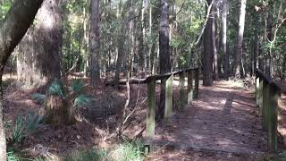 Hiking Pine Trail at Wormsloe Historic Site [upl. by Isobel]