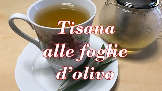 TISANA ALLE FOGLIE D’OLIVO OTTIMO RIMEDIO NATURALE [upl. by Sibelle]