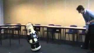 Student version of bobo doll experiment Bandura [upl. by Ylluz824]