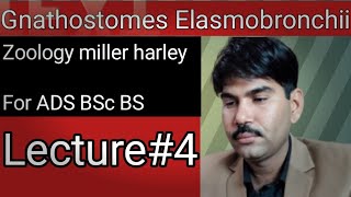 Lec4Gnathostomes Elasmobronchii Zoology Miller Harley ADS BS BSc Urdu Hindi [upl. by Kristo]