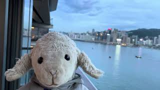 K11 Artus Hong Kong staycation 李家羊 kawaiibibi staycation victoriaharbour 維多利亞港 [upl. by Darleen]