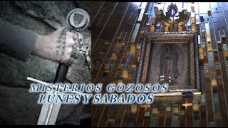 MISTERIOS GOZOSOS POR LAS ALMAS DEL PURGATORIO Y POR TI [upl. by Falda]