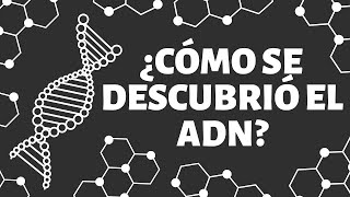 ¿Cómo se DESCUBRIÓ el ADN [upl. by Aitsirk]