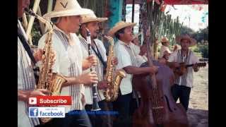 Orquesta Purhepecha La Herencia de Ocumicho Michoacan Album Completo [upl. by Anyalram]