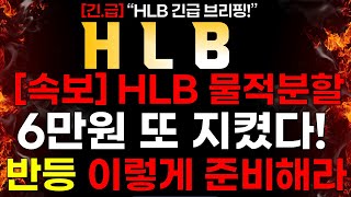 HLB 긴급 속보 HLB 물적분할 quot6만원 또 지켰다quot 반등 이렇게 준비 하세요 [upl. by Rennoc]