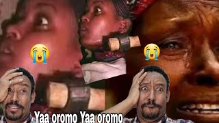 uu yaa oromo walii ha dirmanu kan biyya amba jirtanifi kan biyya keysa jirtan harka toko hatanu [upl. by Sholley]