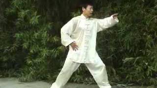 Tai Chi Silk Reeling Taiji [upl. by Guinna813]