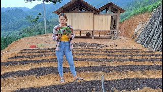 Technique of hoeing to create beds and planting eggplants  Green forest life building farm [upl. by Tranquada]