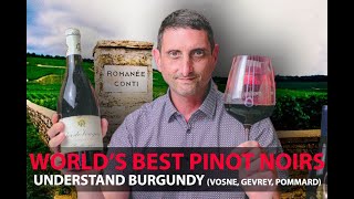 Finest Burgundy Wines  Your Guide to Top Pinot Noirs  VosneRomanée Pommard GevreyChambertin [upl. by Allegna]