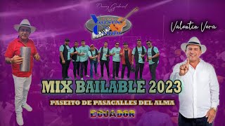 MIX BAILABLE VOL  36 PASEITO DE PASACALLES DEL ALMA VALENTIN VERA 🎶DANNY GABRIEL VDJ🎶2023 [upl. by Ludly508]