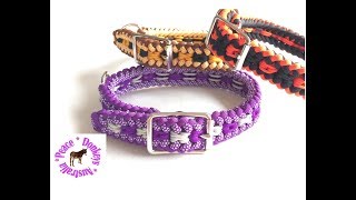 Adjustable dog collar  Modified Sanctified Square pattern paracord dog collar [upl. by Leavy]