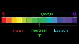 Zuurbase evenwicht deel 1 [upl. by Poliard114]